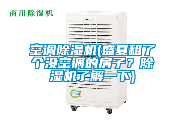 空調(diào)除濕機(jī)(盛夏租了個(gè)沒(méi)空調(diào)的房子？除濕機(jī)了解一下)