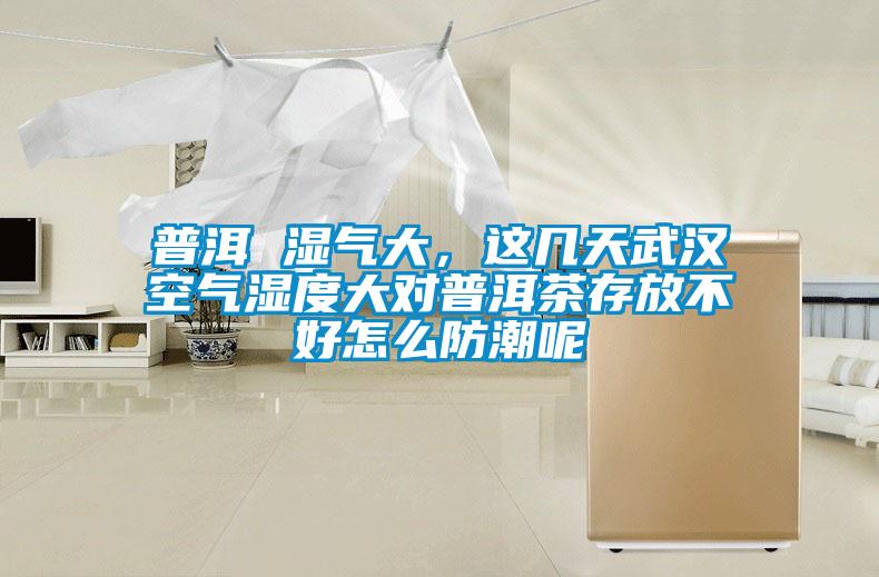 普洱 濕氣大，這幾天武漢空氣濕度大對普洱茶存放不好怎么防潮呢