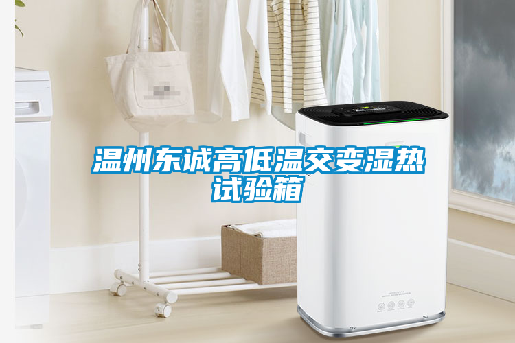 溫州東誠(chéng)高低溫交變濕熱試驗(yàn)箱