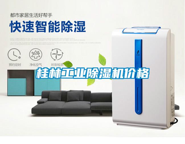 桂林工業(yè)除濕機(jī)價(jià)格
