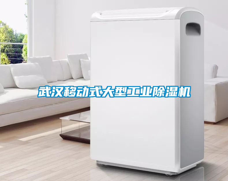 武漢移動式大型工業(yè)除濕機