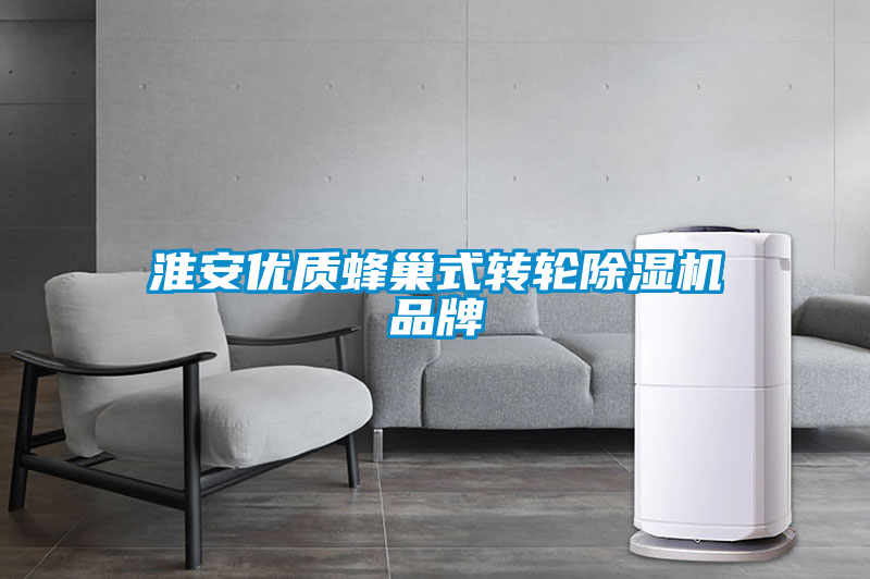 淮安優(yōu)質(zhì)蜂巢式轉(zhuǎn)輪除濕機品牌