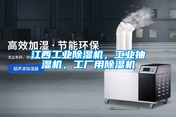 江西工業(yè)除濕機，工業(yè)抽濕機，工廠用除濕機