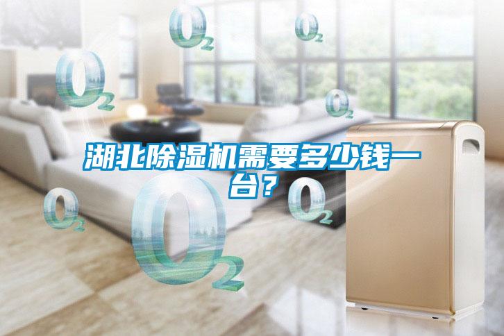 湖北除濕機(jī)需要多少錢一臺(tái)？