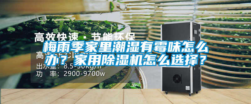 梅雨季家里潮濕有霉味怎么辦？家用除濕機怎么選擇？