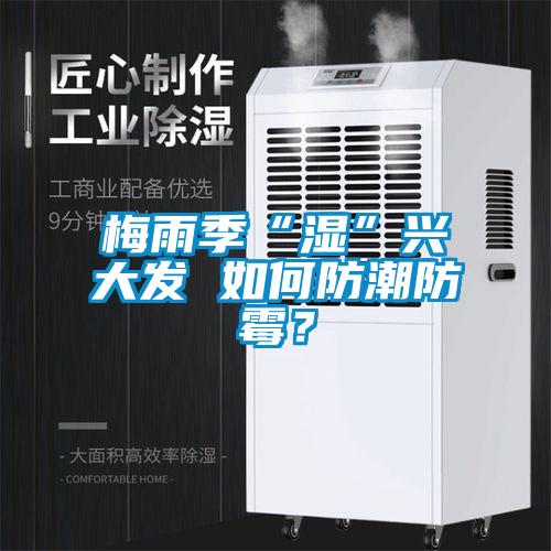 梅雨季“濕”興大發(fā) 如何防潮防霉？