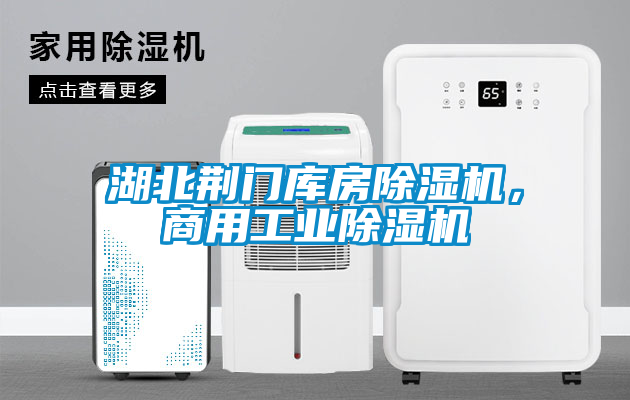 湖北荊門庫(kù)房除濕機(jī)，商用工業(yè)除濕機(jī)