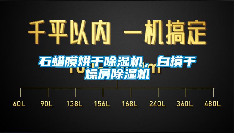 石蠟?zāi)ず娓沙凉駲C(jī)，白模干燥房除濕機(jī)