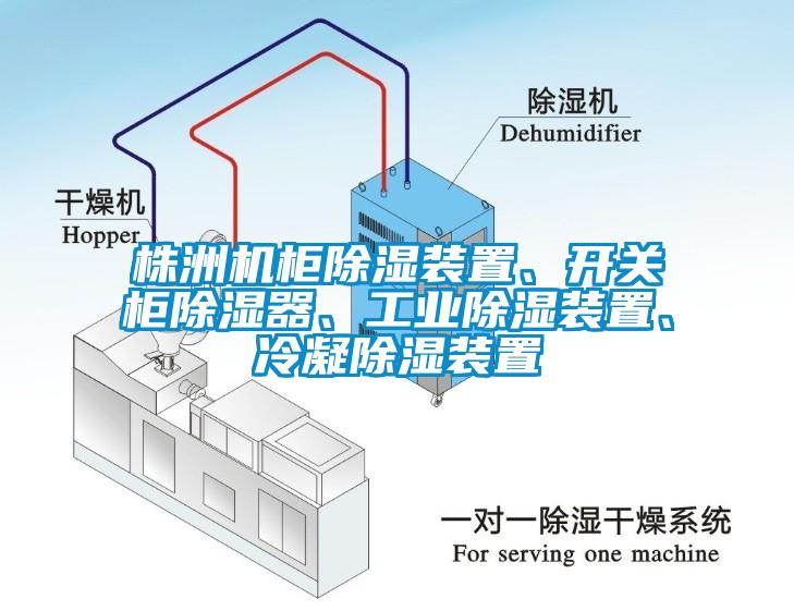 株洲機柜除濕裝置、開關(guān)柜除濕器、工業(yè)除濕裝置、冷凝除濕裝置