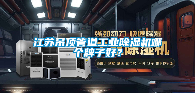 江蘇吊頂管道工業(yè)除濕機(jī)哪個(gè)牌子好？