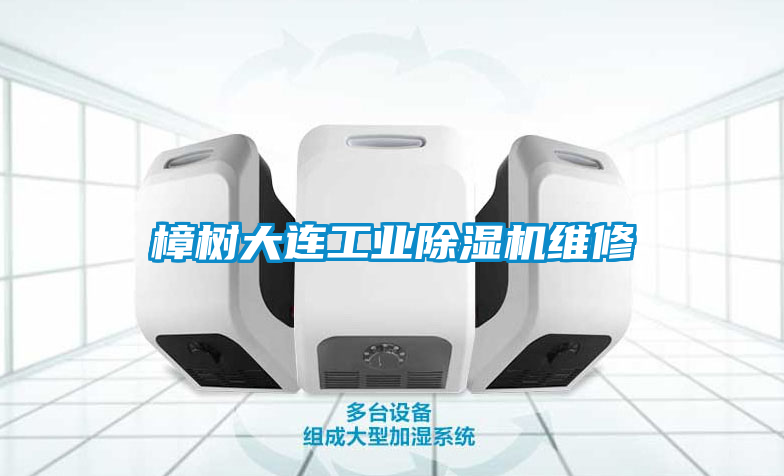 樟樹(shù)大連工業(yè)除濕機(jī)維修