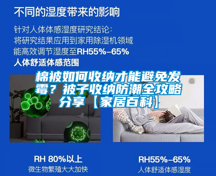 棉被如何收納才能避免發(fā)霉？被子收納防潮全攻略分享【家居百科】