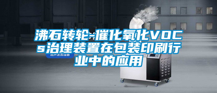 沸石轉(zhuǎn)輪-催化氧化VOCs治理裝置在包裝印刷行業(yè)中的應用