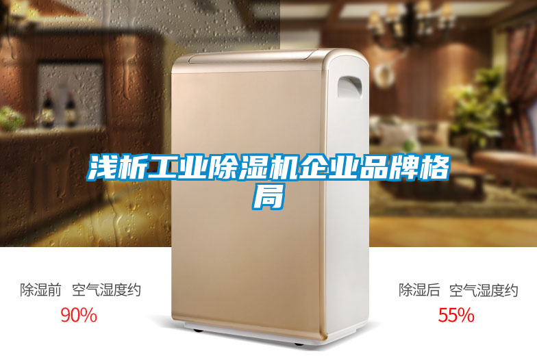 淺析工業(yè)除濕機企業(yè)品牌格局