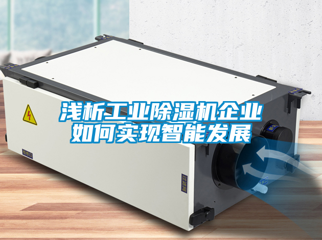 淺析工業(yè)除濕機企業(yè)如何實現(xiàn)智能發(fā)展