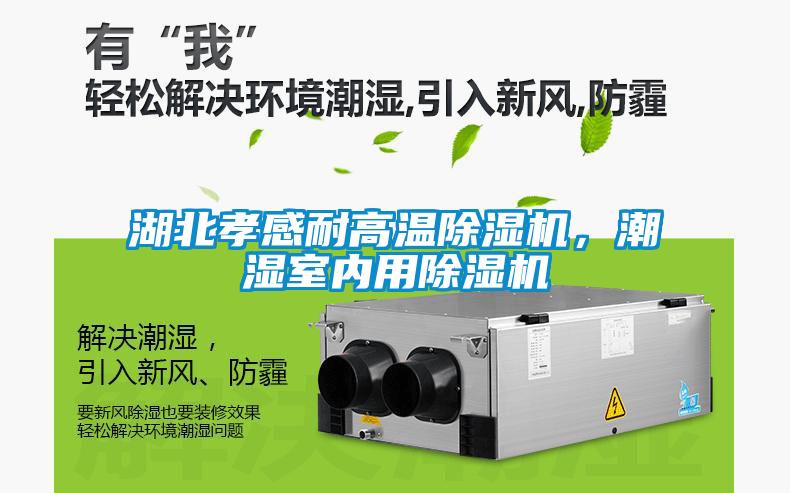 湖北孝感耐高溫除濕機(jī)，潮濕室內(nèi)用除濕機(jī)