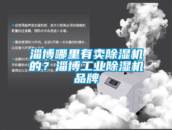 淄博哪里有賣除濕機的？淄博工業(yè)除濕機品牌