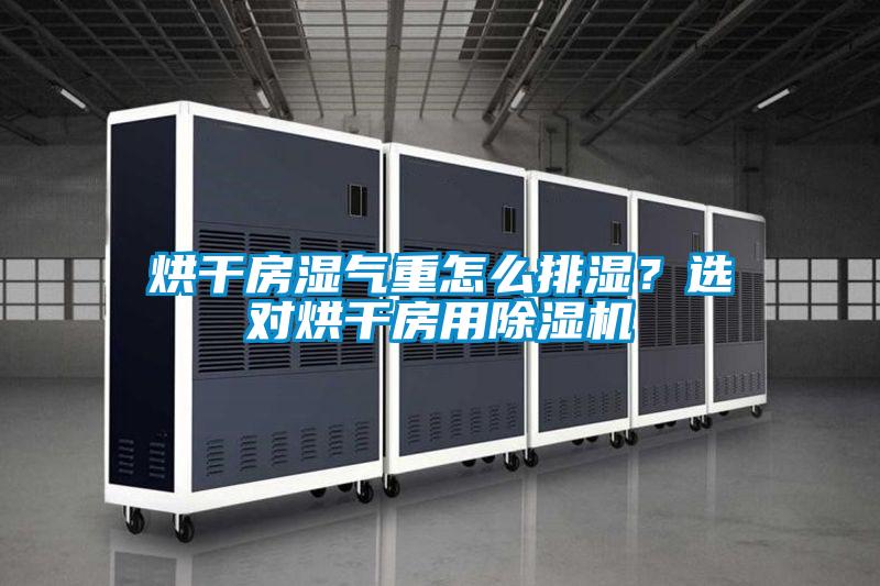 烘干房濕氣重怎么排濕？選對烘干房用除濕機