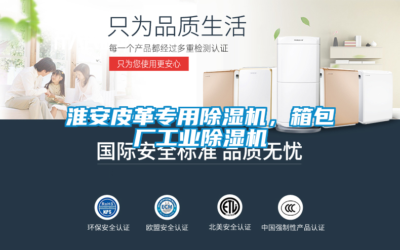 淮安皮革專用除濕機，箱包廠工業(yè)除濕機