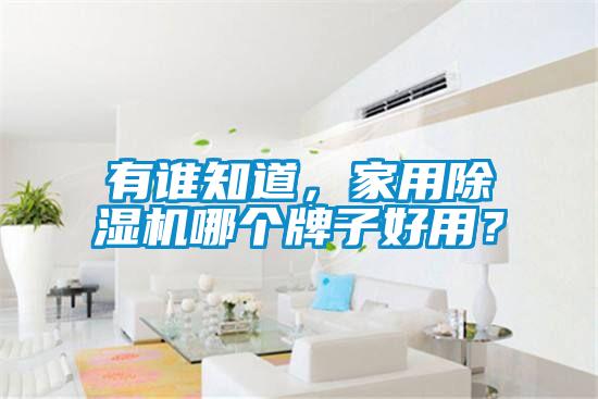 有誰知道，家用除濕機(jī)哪個牌子好用？