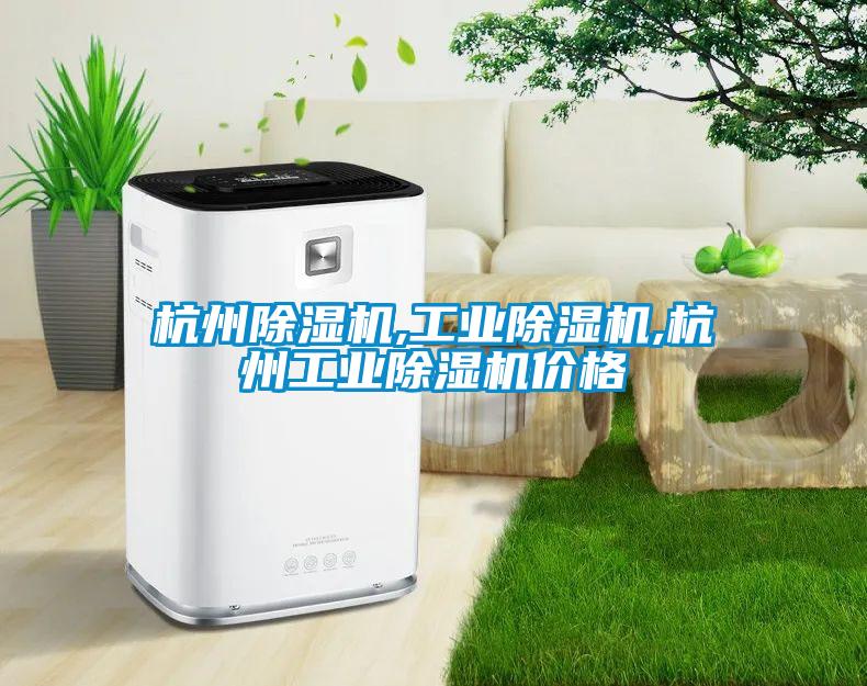 杭州除濕機(jī),工業(yè)除濕機(jī),杭州工業(yè)除濕機(jī)價格