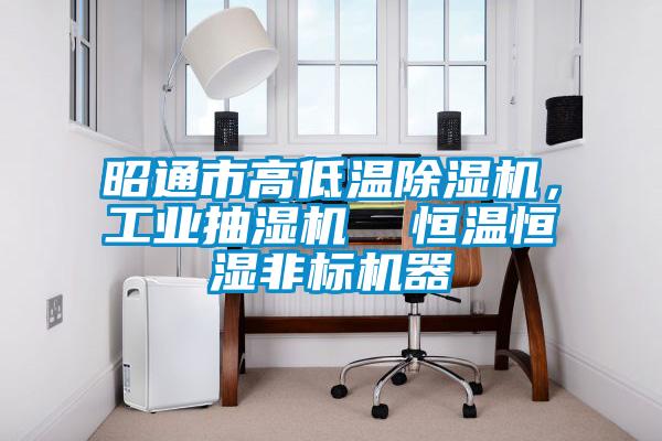 昭通市高低溫除濕機，工業(yè)抽濕機  恒溫恒濕非標機器