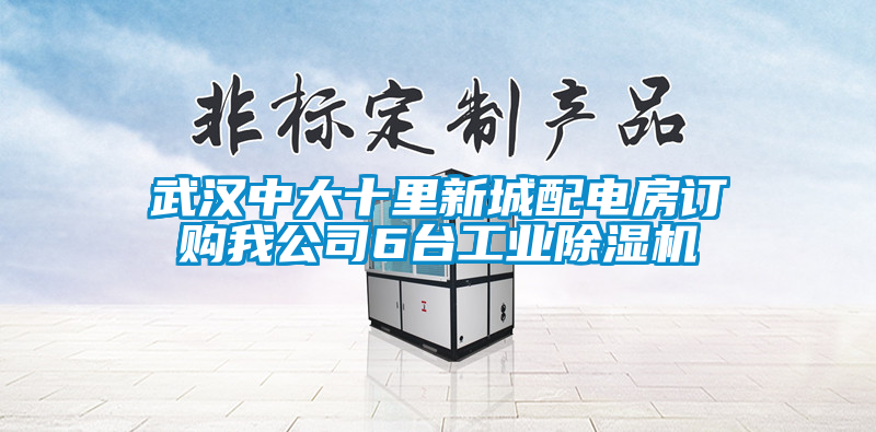 武漢中大十里新城配電房訂購(gòu)我公司6臺(tái)工業(yè)除濕機(jī)