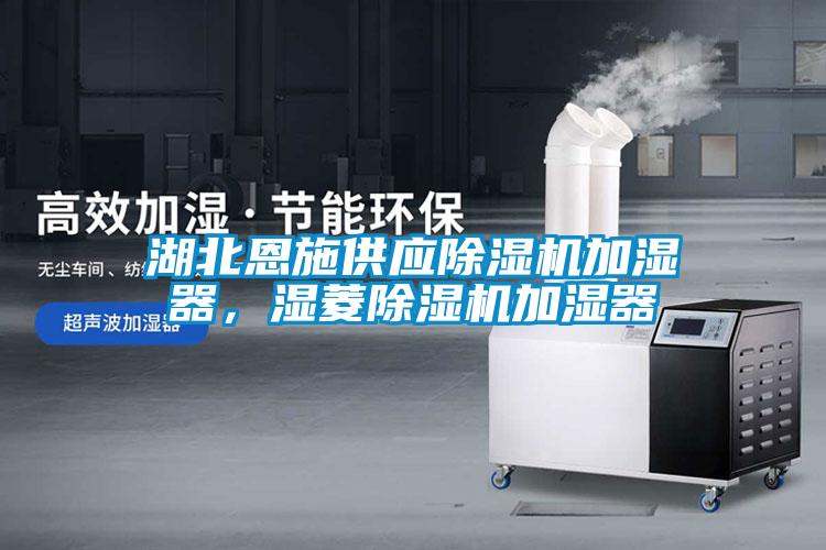 湖北恩施供應(yīng)除濕機(jī)加濕器，濕菱除濕機(jī)加濕器