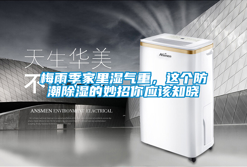 梅雨季家里濕氣重，這個防潮除濕的妙招你應該知曉