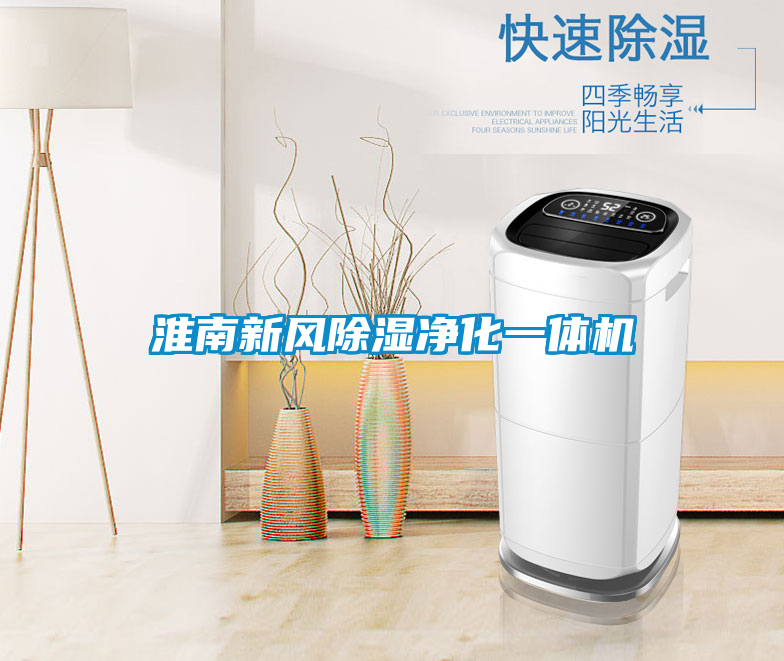 淮南新風(fēng)除濕凈化一體機