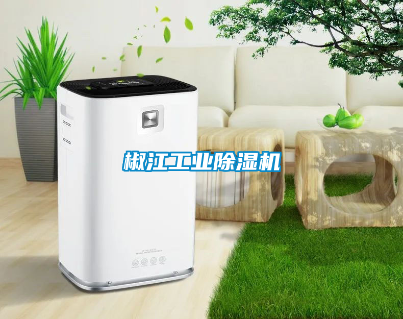 椒江工業(yè)除濕機(jī)