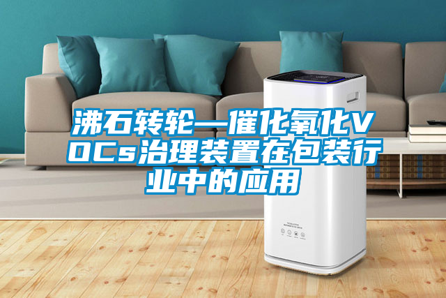 沸石轉(zhuǎn)輪—催化氧化VOCs治理裝置在包裝行業(yè)中的應用