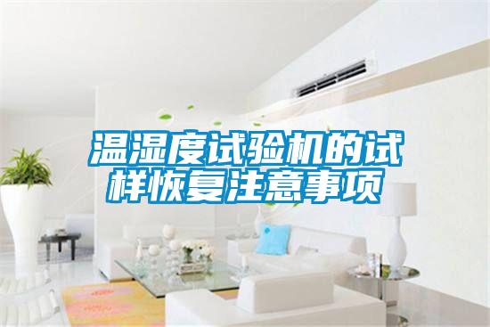 溫濕度試驗(yàn)機(jī)的試樣恢復(fù)注意事項(xiàng)