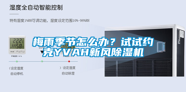 梅雨季節(jié)怎么辦？試試約克YVAH新風(fēng)除濕機(jī)