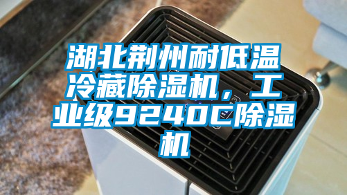 湖北荊州耐低溫冷藏除濕機(jī)，工業(yè)級9240C除濕機(jī)