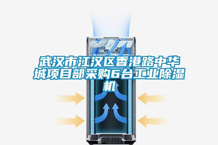 武漢市江漢區(qū)香港路中華城項目部采購6臺工業(yè)除濕機