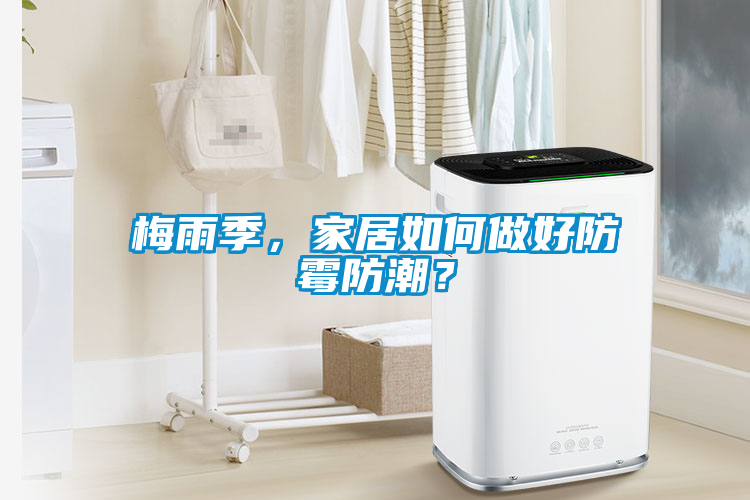 梅雨季，家居如何做好防霉防潮？