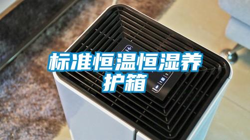 標準恒溫恒濕養(yǎng)護箱