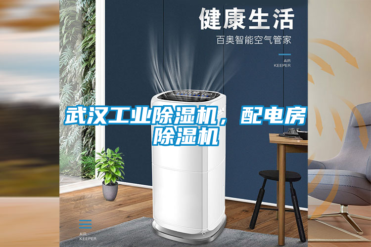 武漢工業(yè)除濕機，配電房除濕機