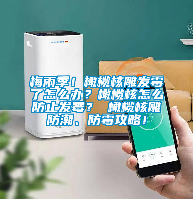 梅雨季！橄欖核雕發(fā)霉了怎么辦？橄欖核怎么防止發(fā)霉？ 橄欖核雕防潮、防霉攻略！