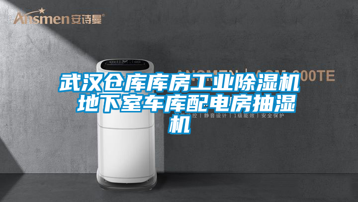 武漢倉(cāng)庫(kù)庫(kù)房工業(yè)除濕機(jī) 地下室車庫(kù)配電房抽濕機(jī)