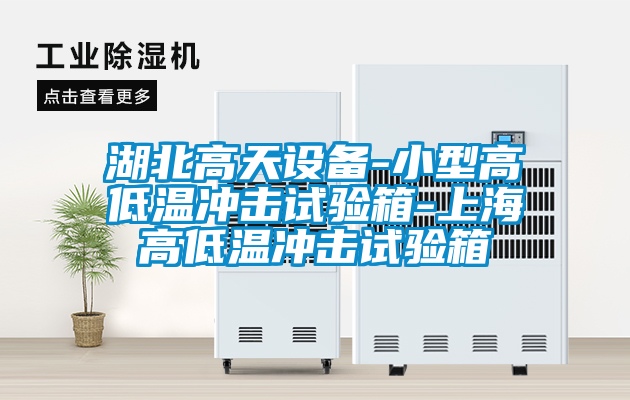 湖北高天設(shè)備-小型高低溫沖擊試驗箱-上海高低溫沖擊試驗箱