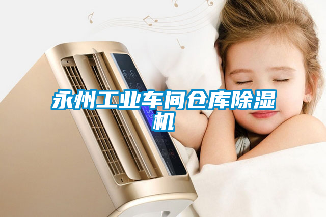 永州工業(yè)車間倉(cāng)庫(kù)除濕機(jī)