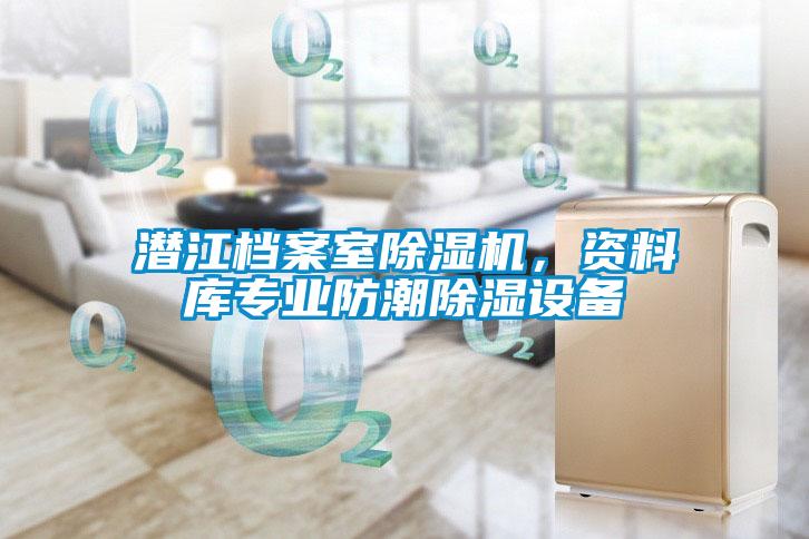 潛江檔案室除濕機(jī)，資料庫(kù)專業(yè)防潮除濕設(shè)備