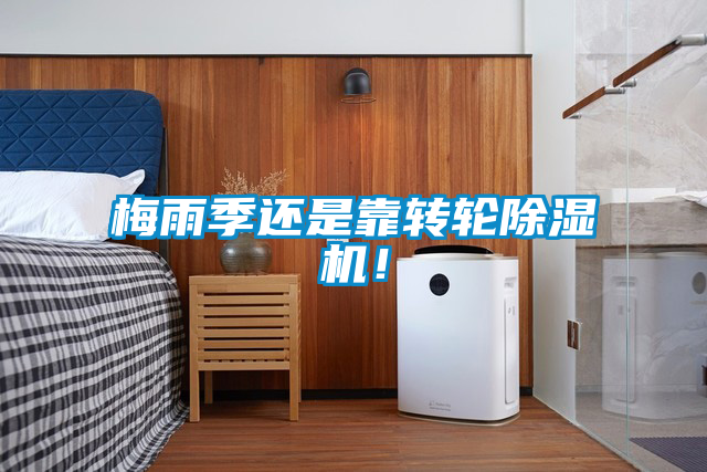 梅雨季還是靠轉(zhuǎn)輪除濕機(jī)！