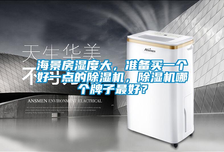 海景房濕度大，準(zhǔn)備買一個(gè)好一點(diǎn)的除濕機(jī)，除濕機(jī)哪個(gè)牌子最好？