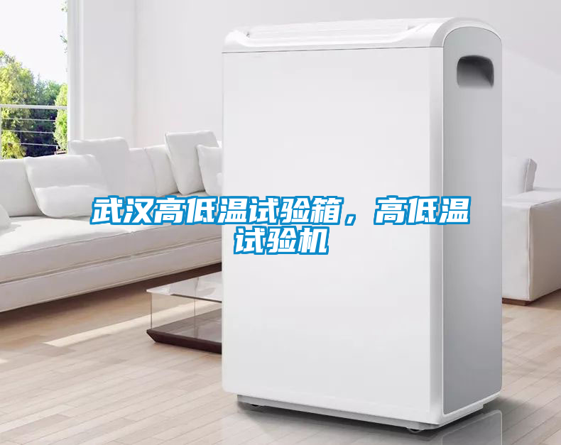 武漢高低溫試驗(yàn)箱，高低溫試驗(yàn)機(jī)