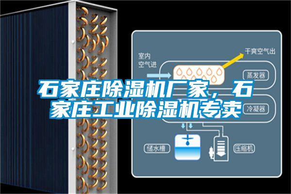 石家莊除濕機廠家，石家莊工業(yè)除濕機專賣