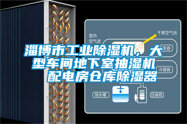 淄博市工業(yè)除濕機，大型車間地下室抽濕機  配電房倉庫除濕器