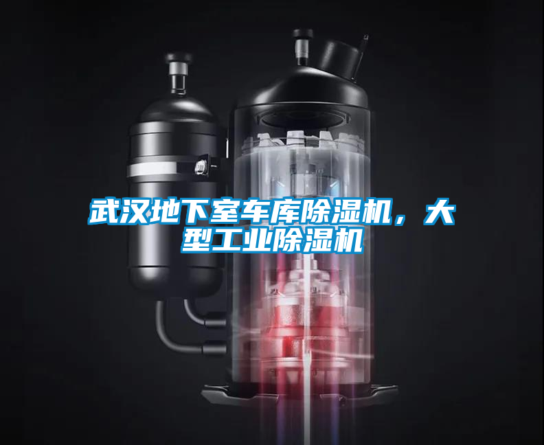 武漢地下室車庫(kù)除濕機(jī)，大型工業(yè)除濕機(jī)